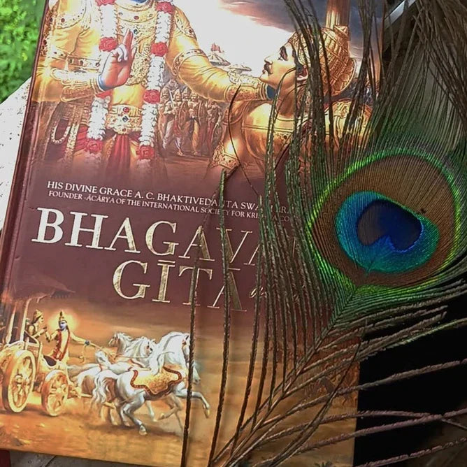 Elevating Human Relationships Through the Wisdom of Bhagavad Gita