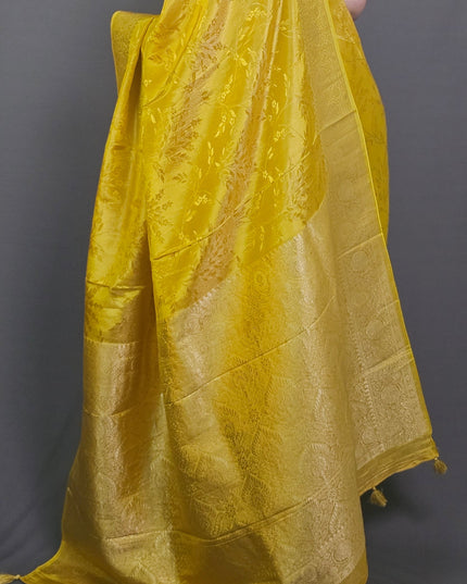 Golden Radiance Banarasi Saree
