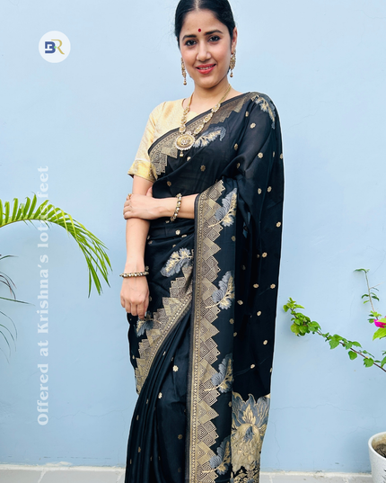 Bhadravan Black Banarasi Crepe Saree