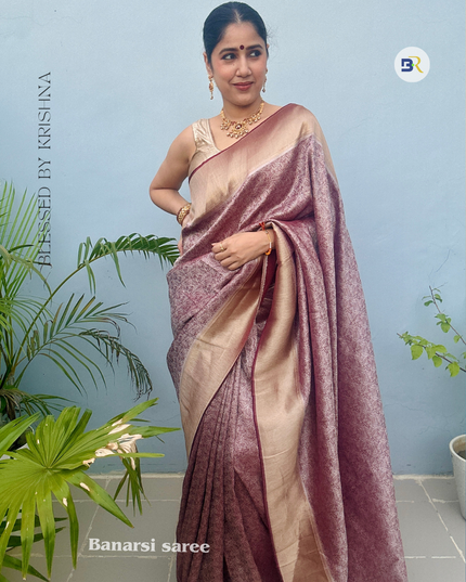 Kamal Nayan Banarasi Silk Saree