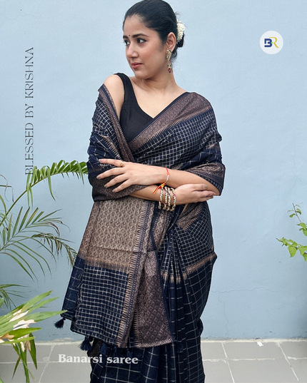 Shyamali Sundari Black Banarasi Silk Saree