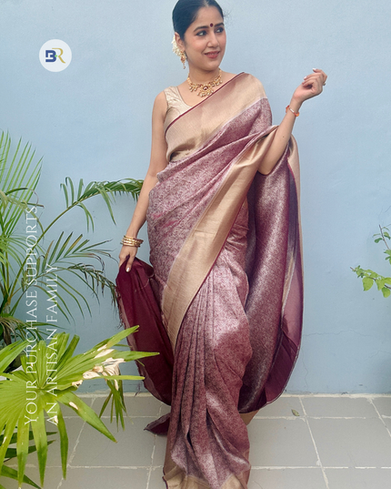 Kamal Nayan Banarasi Silk Saree